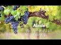 Abide - New Life Worship feat. Aaron Keyes (Lyrics)