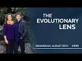 The 339th Evolutionary Lens with Bret Weinstein and Heather Heying