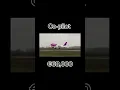 Lagu How money pilots make Wizz air edition🇭🇺#avgeek #aviation #wizzair