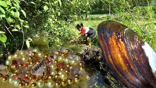 It came at a good time, the pearls in the river clam were all very bright in size