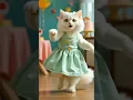 Download Lagu kucing imut joget Popo Popo😽😸 #kucingimut #kucinglucu #kucingjoget