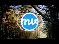 Download Lagu Jim Yosef - Link [NCS]