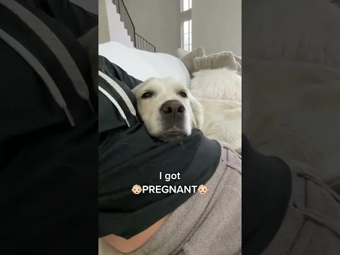 Our Baby changed everything 🐶❤️👶🏻