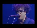 The Cure - Primary.Show Live 1993 UK LDrip