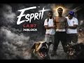 LA B7 - ESPRIT (visualisation)