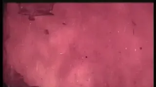 فیلم یوسف و زلیخا قبل از انقلاب 