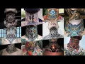 Full neck tattoos for men - Throat tattoo Keshibooandklife