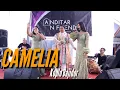 Download Lagu Camelia - Eva damanose ft umi nurul
