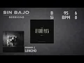 PERDON :( - NO BASS | Bass Playalong (LENCHO)