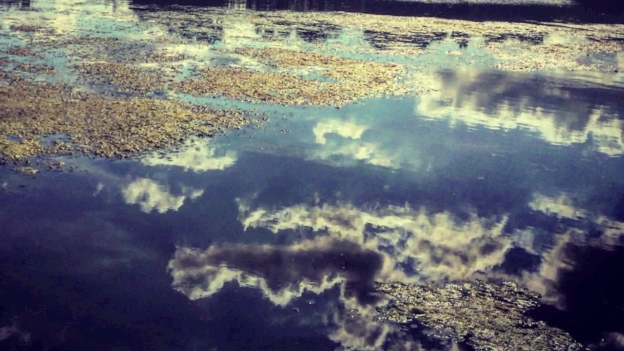 Chromatics  -  Shadow