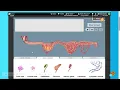 Digestive System Simulation Explained Design Your Own Digestive Tract