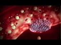 The Role of Proteins in Blood Clotting