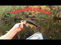 Is Trout Fishing in Oregon s Stocked Ponds REALLY Worth It