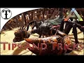 Fast Pulmonoscorpius Scorpion Taming Guide Ark survival Evolved Tips and Tricks
