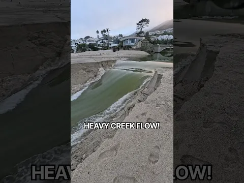 HEAVY FLOW 🤯 - #SoLagLocal #CreekChronicles #Shorts