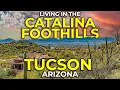The Catalina Foothills You Will Love It Here