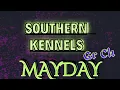 Southern Kennel s GR CH Mayday