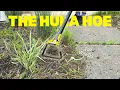 The Hula Hoe 2 hrs of Weeding in 30 minutes Testing the Garden Looped Hoe