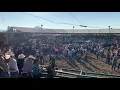 Te apuesto Marca MP (en vivo)