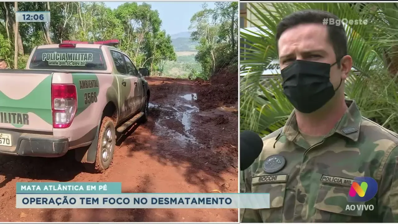 Operação Mata Atlântica em Pé tem foco no desmatamento