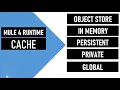Mulesoft 4 Cache Scope Object Store v2 Persistent In Memory Consumable Use Case Demo