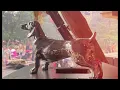 Wurzelfestival 2025