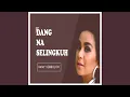 Download Lagu Dang Na Selingkuh