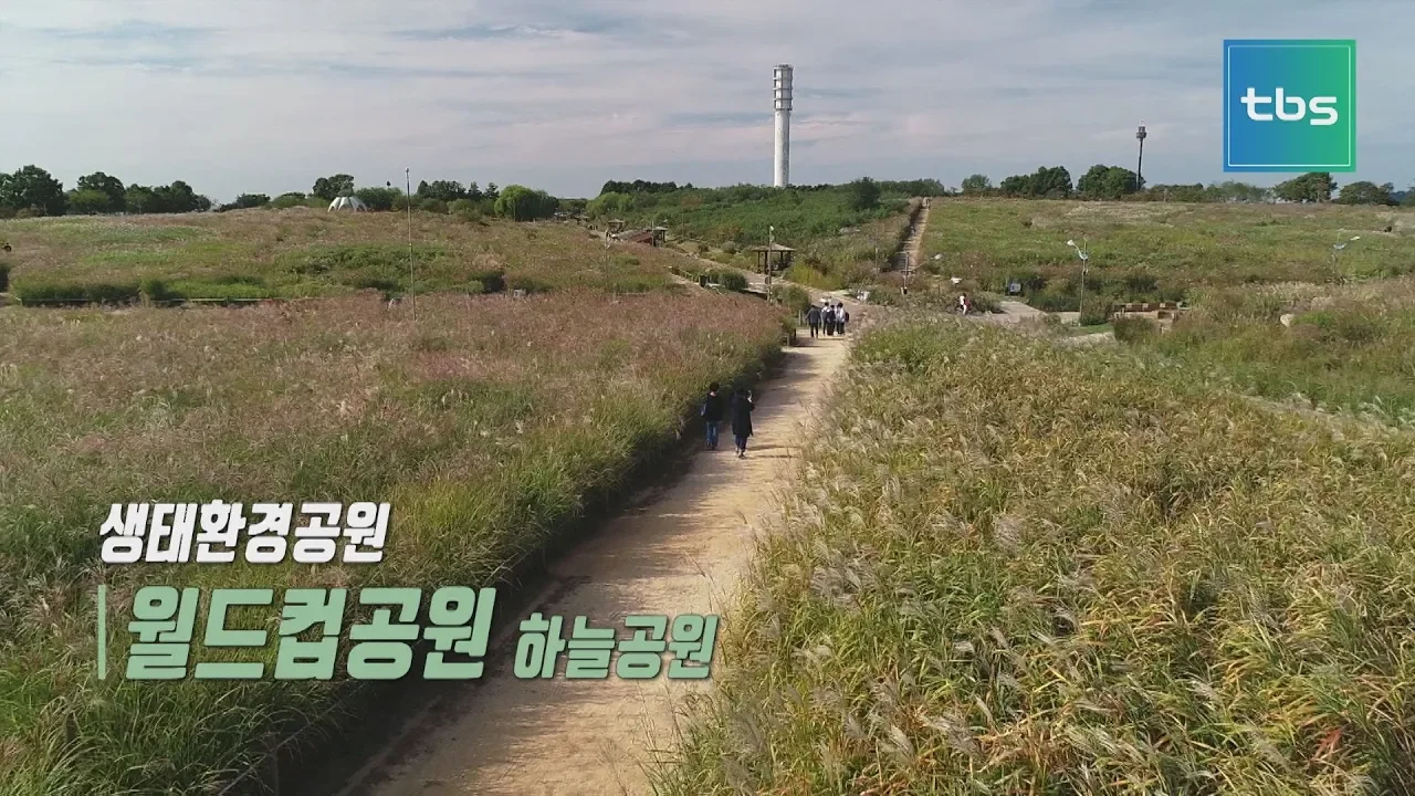 관련 영상 썸네일