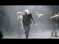 Lady Gaga - Houston, TX - Dancing with a fan to ScheiBe :)