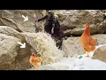 Khadija saves a chicken from a dangerous flood