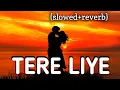 Tere Liye [Slowed+Reverb] - Atif Aslam,Shreya Ghoshal | Vivek Oberoi | Musiclovers | Textaudio |