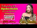 Download Lagu Dj NGOBOR KODOK EVVI SHANDRA FULL BASS DJ PANA VERSION