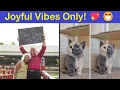 Download Lagu Photos So Wholesome, Your Smile Might File a Complaint | Happy And Fun