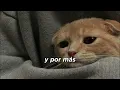 Mon Laferte - Otra Noche de Llorar | 1 HORA