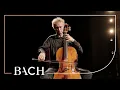 Download Lagu Bach - Cello Suite no. 4 in E-flat major BWV 1010 - Cocset | Netherlands Bach Society