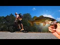 Download Lagu Shredding to the Fishing Spot