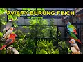 Download Lagu AVIARY BURUNG EMPRIT
