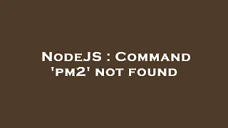 NodeJS Command pm2 not found
