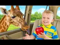 Lagu Oliver at the Safari! Fun \u0026 Educational Adventures for Kids