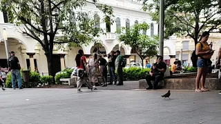 EN LA FAMOSA PLAZA LIBERTAD 🗽