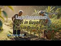 Lagu Tabi in Guyanga(Kasih Sayang Orang Tua) - Pop Rock Mongondow - Cipt : Chairul A Luli