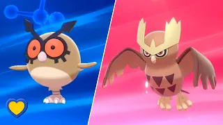 HOW TO Evolve Hoothoot into Noctowl in Pokemon Sword and Shield