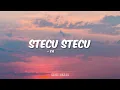 Faris Adam - Stecu Stecu (Lirik)