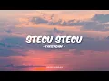 Download Lagu Faris Adam - Stecu Stecu (Lirik)