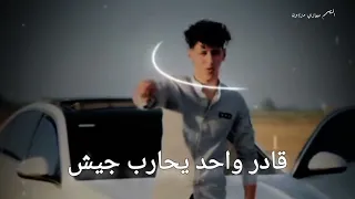 اسود على الارض طول وعرض  اسود على الارض طول وعرض