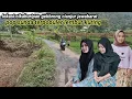 Download Lagu LAGU POP SUNDA TERPOPULER LEMBUR KURING || NOCOPYRIGHT