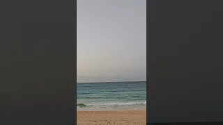 شيرين عبد الوهاب عودتني الدنيا أخسر دندنها