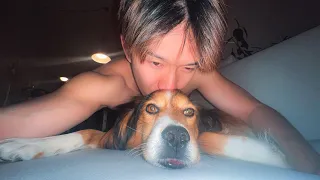I Got An Offer For My Dog...