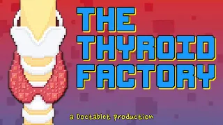 The Thyroid Factory Understanding Thyroid Function and Thyroid Function Tests