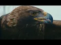 Download Lagu Ummet Ozcan - Yima (Official Music Video)
